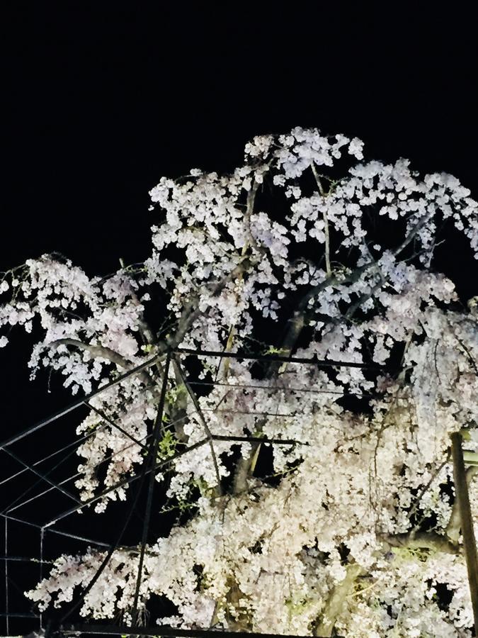 Gallery Nozawa Inn Κιότο Εξωτερικό φωτογραφία